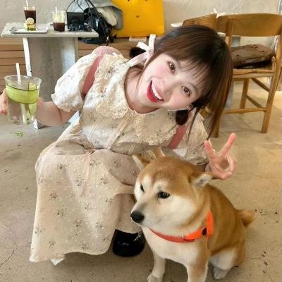 我们的歌手2017